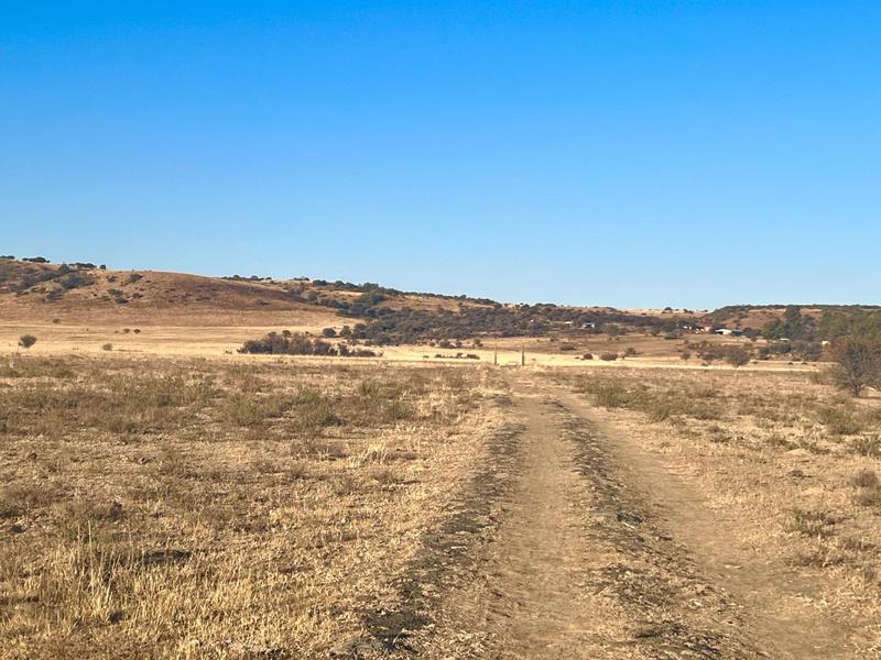0 Bedroom Property for Sale in Heilbron Free State